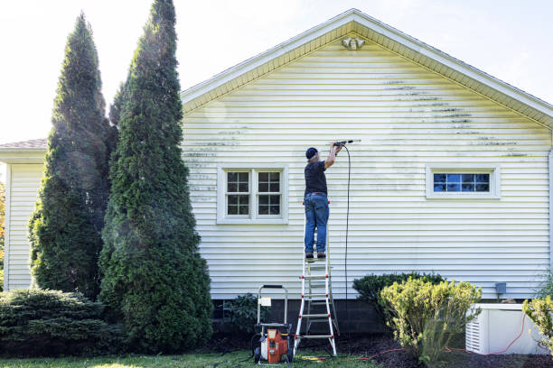 Best House Exterior Washing  in Sterling Heights, MI